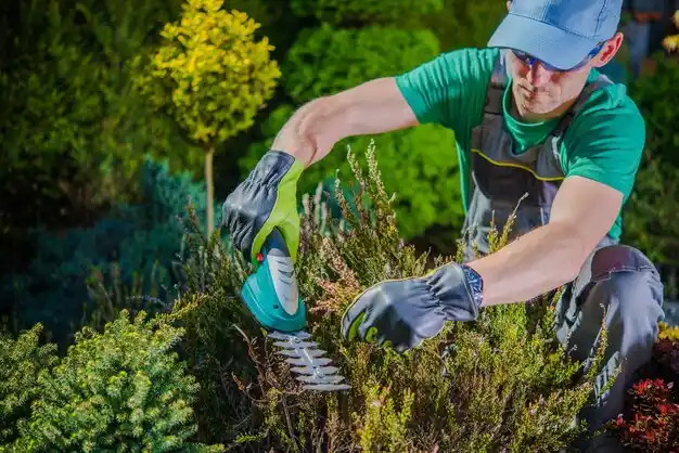 landscaping services Mentor-on-the-Lake